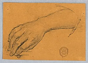 Study of Hand and Wrist