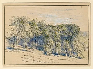 Study of Maple Grove, Greensboro, Vermont