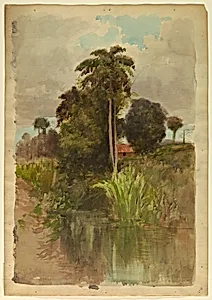 Study of palm trees