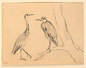 Study of Two Herons