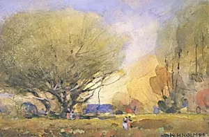 (Summer Scene)