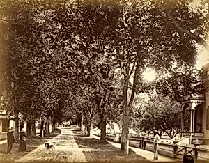 Summer Street, from the album Views of Charlestown, New Hampshire