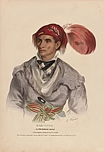 Tah Chee: A Cherokee Chief