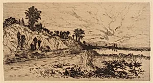 The Coast of Florida