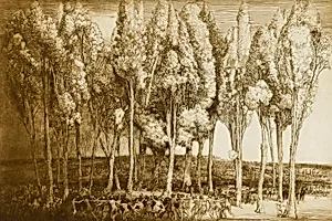 The Dance of Spring by Donald Shaw MacLaughlan