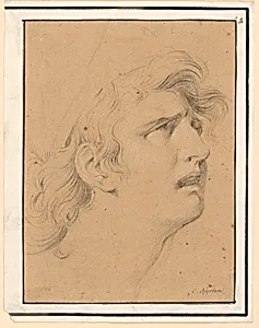 The Head of a Despairing Young Woman