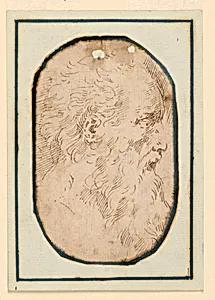 The Head of an Old Bearded Man