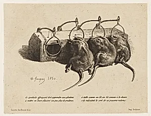 The mousetrap