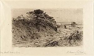 The Path to the Shore
