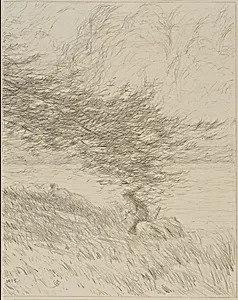 The Pine Bough