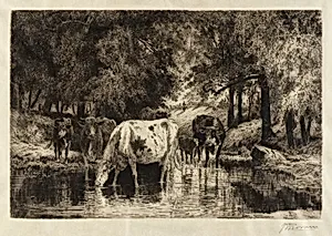The Pool