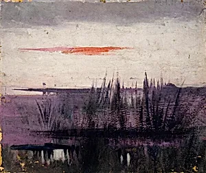 The Sky Simulated by White Flamingoes study for book, Concealing Coloration in the Animal Kingdom