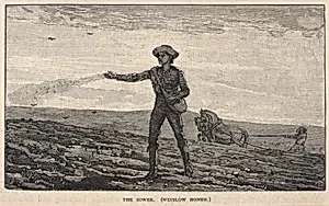 The Sower, from Scribner's Monthly, An Illustrated Magazine for the People, August 1878 by Winslow Homer