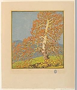 The Sycamore