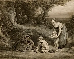 The Young Brood