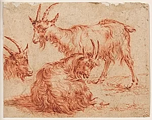 Three Goats, after an etching from Berchem's "Animalia" (Animals) [ Animalia ad vivum delineata et aqua forti aeri impressa Studio et Arte Nicolai Berchem]