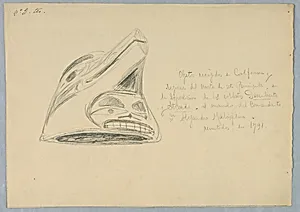 Tlingit (Indigenous Alaskan) Helmet