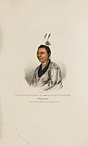 TOO-SHA-NA-GAN-KA or The Little Otter; A Winnebago Chief, from The Aboriginal Portfolio by James Otto Lewis