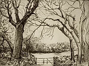 Tragenna Wood by Donald Shaw MacLaughlan
