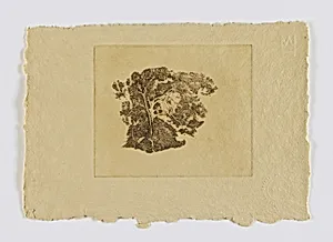 Tree Study (fm. portfolio)