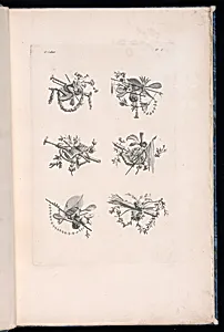 Trophy Designs by Pierre Ranson, French, 1736–1786