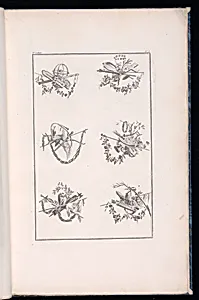 Trophy Designs by Pierre Ranson, French, 1736–1786