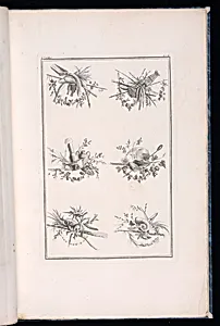 Trophy Designs by Pierre Ranson, French, 1736–1786