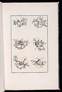 Trophy Designs by Pierre Ranson, French, 1736–1786