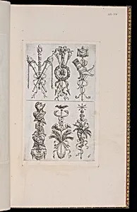 Trophy Designs