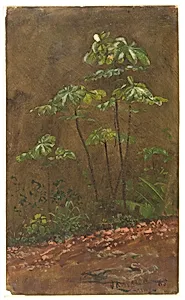 Trumpet Trees, Jamaica by Frederic Edwin Church, American, 1826–1900