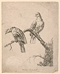 Two Birds on a Branch