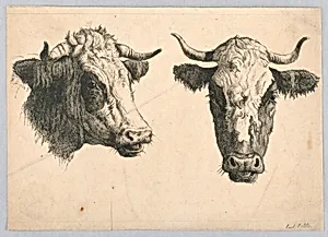 Two Cow Heads