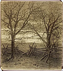 Untitled (transfer drawing for November) by George Elbert Burr