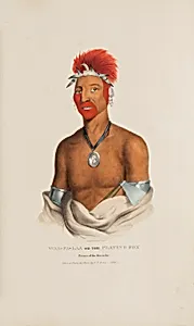 WAA-PA-LAA or the Playing Fox; Prince of the Fox Tribe, from The Aboriginal Portfolio