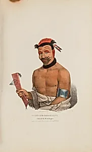 WADT-HE-DOO-KAANA; Chief of the Winnebagoes, from The Aboriginal Portfolio