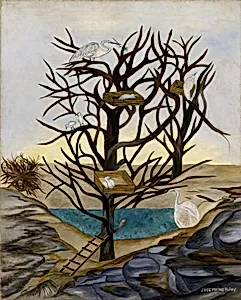 Waterbirds Nesting