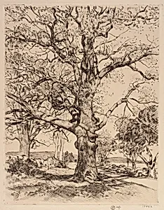 Wayside Inn Oaks in Spring