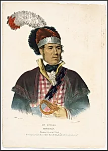 William McIntosh
