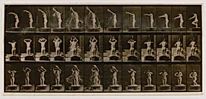 Woman Pouring a Basin of Water over Her Head, from the book Animal Locomotion by Eadweard Muybridge