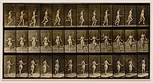 Woman Using Skipping Rope, from the book Animal Locomotion