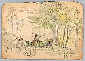 Woodland Camp