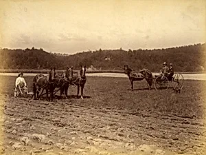 Wood's Farm Scene, from the album Views of Charlestown, New Hampshire