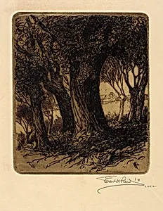 Woods