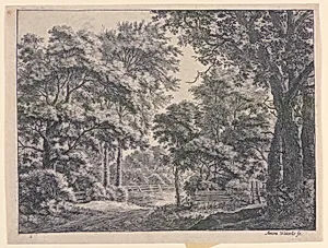Woods With Fenced in Areas
