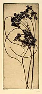 Woolgrass