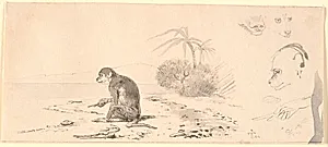 Abekatten. T.h. studier af abeho-veder m.m.