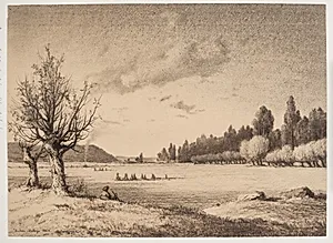Åbent landskab med skov i baggrunden. Bourgogne