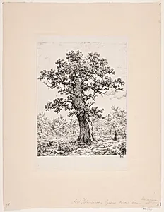 Adam. Christianssæde, Lolland by Axel Schovelin