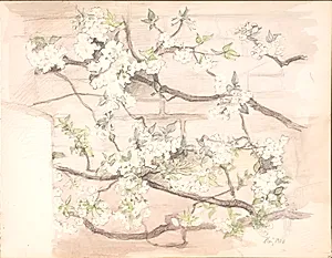 Æbleblomster by Agnes Slott-Møller