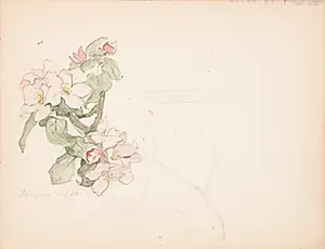 Æbleblomster by Agnes Slott-Møller
